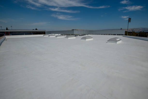 Best Roof Leak Repair  in Long Creek, IL