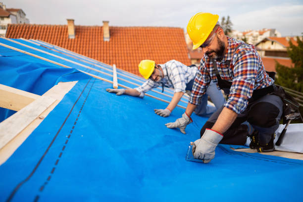 Best Roof Leak Repair  in Long Creek, IL