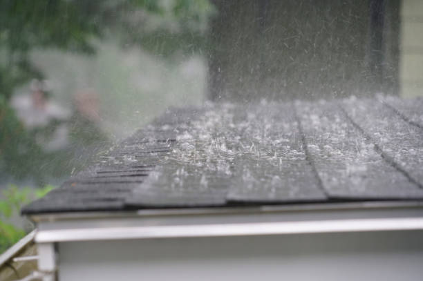 Professional Roofing Service in Long Creek, IL