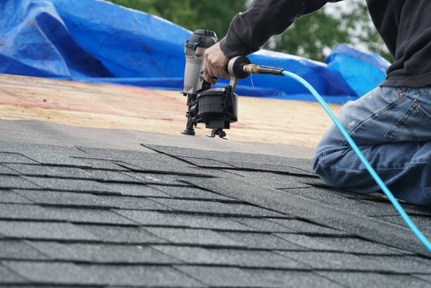 Best Chimney Flashing Repair  in Long Creek, IL