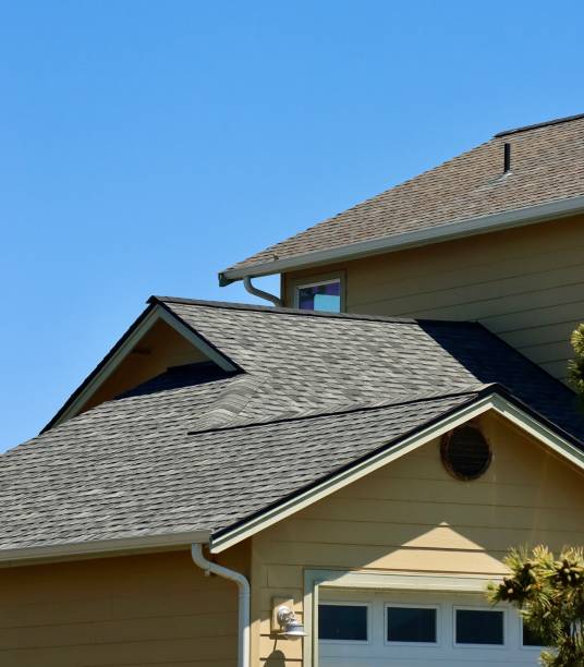 Best Skylight Installation and Repair  in Long Creek, IL